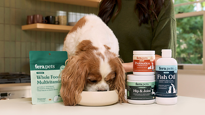 Vet-founded & vet-formulated science-backed pet supplements from Fera Pets | Source: Fera Pets