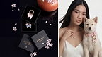 SHIBA &amp; Co. Launches Sakura Limited Edition