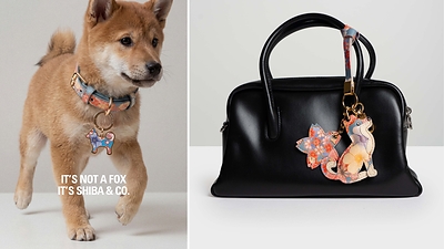 SHIBA & Co. Launches Sakura Limited Edition
