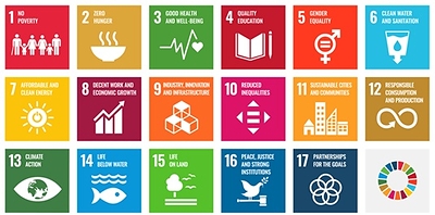 The 17 goals of SDGs