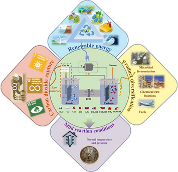 Renewable energy-driven electrocatalytic CO₂ reduction system converting carbon dioxide into valuable fuels, enabling a circular carbon economy and environmental sustainability.