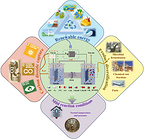 Southeast University and Korea University Researchers Develop Smarter Copper Catalysts for Turning CO₂ into Fuels