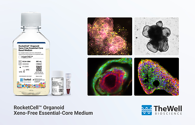 RocketCell™ Organoid Xeno-Free Essential-Core Medium
