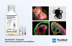 TheWell Bioscience Launches Universal Xeno-Free Organoid Medium to Standardize Workflows and Reduce Costs