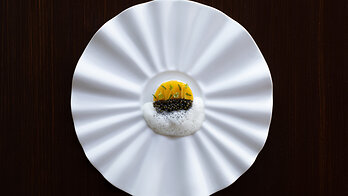 Classic French-Technique with Japanese-and mexican Influences Auro Michelin-Starred-by Rafael Luhrs