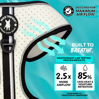 Wag Trendz® Launches NeoCool™, the First-of-Its-Kind Patent