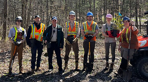 Forests Canada and Ontario Parks Complete Projects to Restore and Enhance Provincial Parks