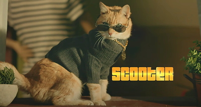 Halifax Humane Society and Give Them Ten™ Team Up to Drive "Neuter Scooter for a Nickel" Over the Finish Line