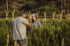 Future Harvest: The European program tackling the decline in generational renewal in farming
