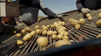PepsiCo Foundation launched Future Harvest to support next generation farmers to build resilient and future-ready farming operations. 