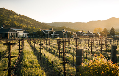 Auro_Set_on_an_organic_vineyard_in_Calistoga_2026_Chef_Evan_Neumann__by_Anna_Clarke
