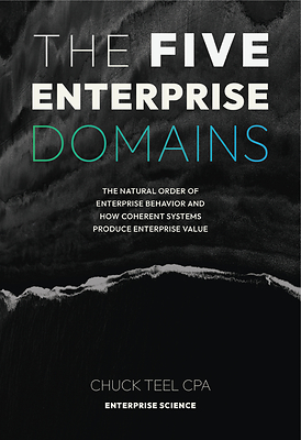 The Five Enterprise Domains book cover