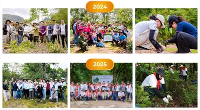 Employees participating in past tree-planting activities