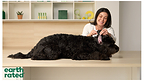 Dr. Steph, DVM and Earth Rated's Eye &amp; Ear Wipes are changing what daily dog care looks like
