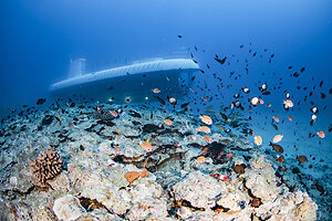Atlantis Submarines Maui Restarts Undersea Tours from Lahaina Harbor