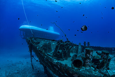The Carthaginian, a 97-foot steel-hulled ship, has been transformed into a thriving artificial reef that now supports tropical fish and diverse marine life.
