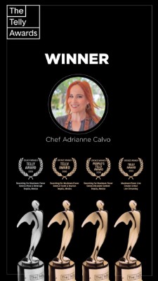 4X Winner at the 47th annual Telly Awards