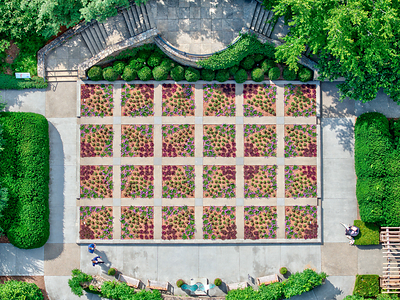 Quilt Garden by NC Arboretum (Julie Guy, NC Arboretum Formal Gardens Curator) Medium: Living plants (3 species) installed within the frame of the quilt Location: NC Arboretum
