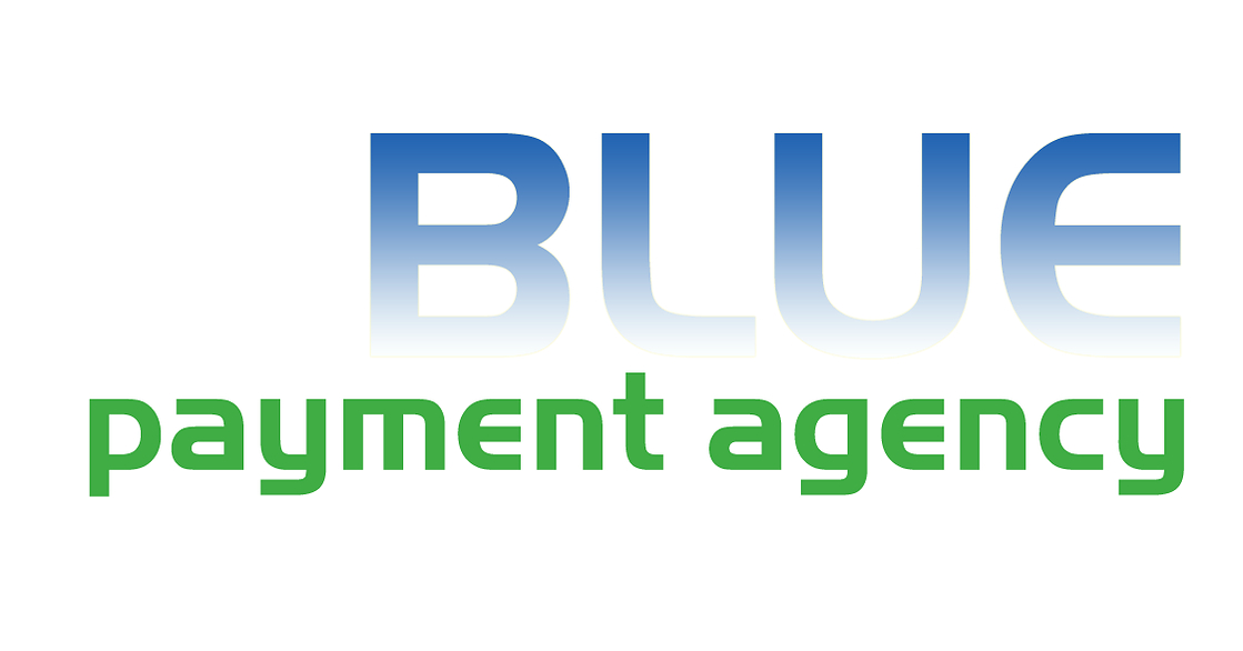 Blue Payment Agency Targets Checkout Gap for Ammunition Websites on WooCommerce