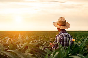 Agrochemical Giants Face Explosive Paraquat Parkinson's Disease Allegations as Wisner Baum Trial Date is Set in California