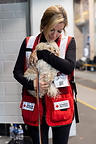 PetSmart Charities Renews Partnership with American Red Cross to Help Families and Pets Facing Emergencies