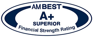AM Best Affirms A+ Ratings Across MSIG USA Platform and Assigns A+ Rating to New E&amp;S Company