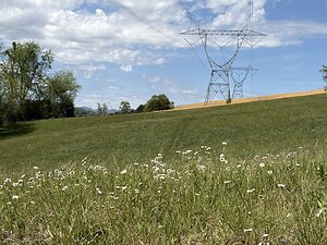Communities Invited to Help Shape the Valley North Project