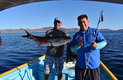 Pesca Deportiva en el Paralelo 26: La ruta épica entre dos mares que define a Baja California Sur