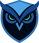 Vigilis AI and Security Executive Council Partner to Advance How Uniformed Security Teams Operate in Real Time
