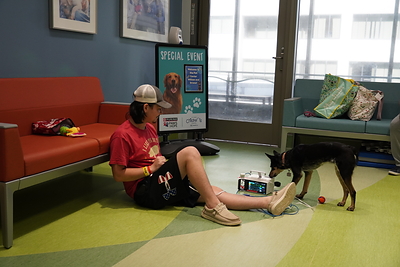 St. Louis Children's Hospital patient William Petla with his dog Bristol in Purina Family Pet Center
