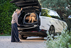 Tavo Raises the Bar for Pet Travel with Everett™--Its First Crash-Tested Pet Cargo Crate
