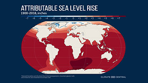 Human-caused sea level rise drives rapid global increase in extreme water levels during 21st century, new research finds