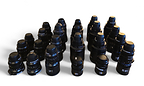 Tiger Group Sells Hundreds of Lots of AV Gear in Two-Day Auction