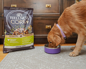 Research Finds More Than 80% of Dogs Lost Weight in 10 Weeks or Less with Wellness CORE® Healthy Weight Recipes While Maintaining Lean Mass