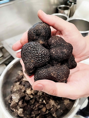 For more than a decade, successful truffle cultivation in the Southern Hemisphere has allowed La Toque to bring fresh black truffles to Napa Valley. Photo by Megan Menicucci