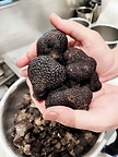 For more than a decade, successful truffle cultivation in the Southern Hemisphere has allowed La Toque to bring fresh black truffles to Napa Valley. Photo by Megan Menicucci