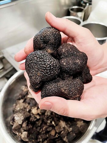 For more than a decade, successful truffle cultivation in the Southern Hemisphere has allowed La Toque to bring fresh black truffles to Napa Valley. Photo by Megan Menicucci