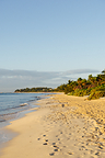 Paradisus La Perla Becomes First Meliá Hotels International Property to Achieve WITT Certification, Elevating the Brand's Global Wellness Standard