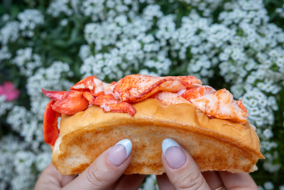 Cousins Maine Lobster brings its famous Maine lobster rolls to South Texas for a limited-time road trip.