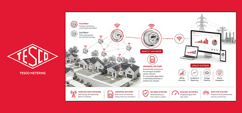 TESCO Metering's Zero Infrastructure AMI Ecosystem TESCO Metering's Zero Infrastructure AMI Ecosystem
