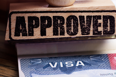 As global borders go digital, simple clerical errors lead to instant visa rejections. VisaSyst's independent "pre-check" platform combines automated verification and expert review to prevent denials.