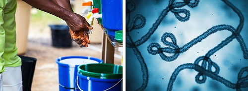 As health agencies respond to the latest Ebola outbreak, UK manufacturer Hydrachem is calling for greater focus on infection-control preparedness. This image opens in the lightbox