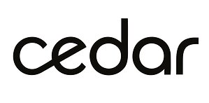 Cedar Launches Agentic Platform to Help Providers Collect from Healthcare's Fastest-Growing Payer: Patients