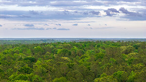 Patten Properties Debuts Legacy Grand Ranch North of Houston, Land Worthy of a Family Legacy