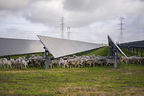 Mars Accelerates Sustainability Progress with All U.S. Operations now Powered by 100% Renewable Electricity