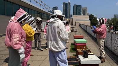 Beekeeping Workshop - Image Courtesy of Exhibition Place