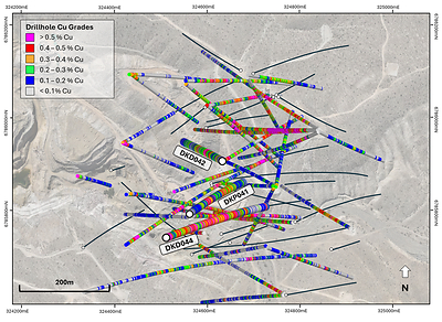 Figure 4. Zoomed plan view map of La Verde showing recent drill hole results DKD044, DKD042 and DKP041, returned Cu grades shown on hole traces. Drilled holes with pending assays are shown in black.