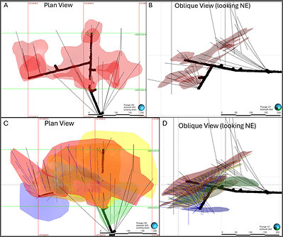 Figure 4. Geological model comparison before this phase of drilling and current geologic understanding after. Figure 4a and B show the initial understanding of the Lucky Shot vein system at the end of 2023. Figure 4C and D are updated geologic vein models based on this program drilling.