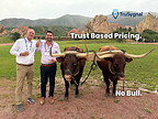 TruSygnal Launches Trust Based Pricing Model for Freight Matching Platform