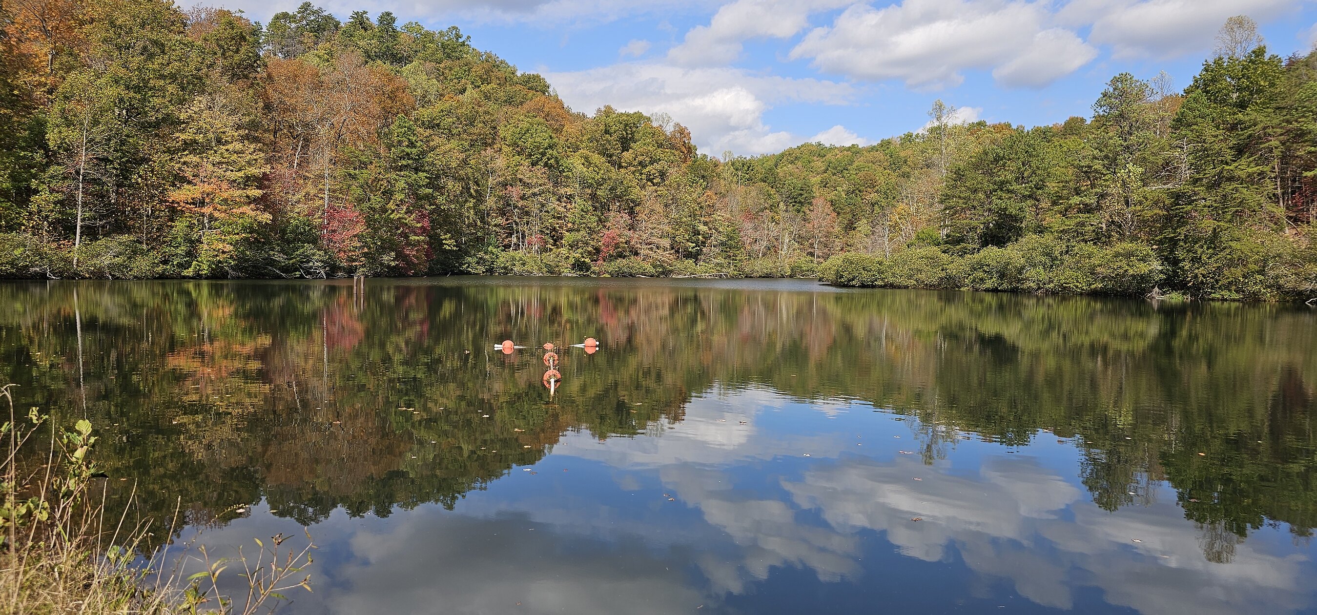 The Lazenby Preserve, A New Kind of Retreat, Takes Shape Near Red River Gorge
